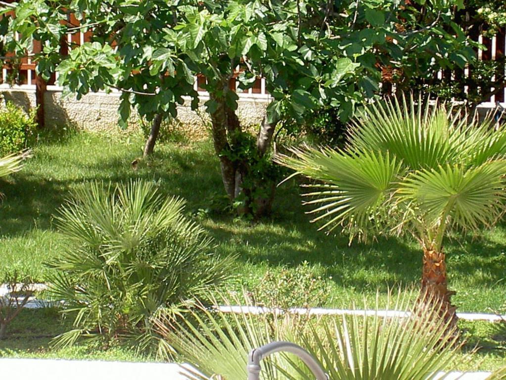Baia Del Sole Hotel Paestum Buitenkant foto